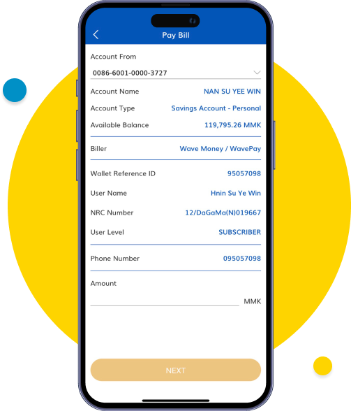Review information, enter amount and continue with “Next”