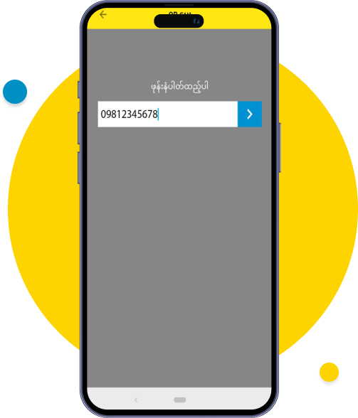 Input the amount that you need to pay